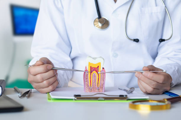 Best Emergency Dental Care for Abscessed Tooth in Avonmore, PA